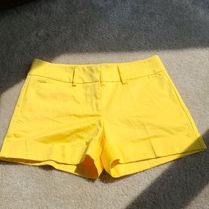 New York & Company Yellow Shorts